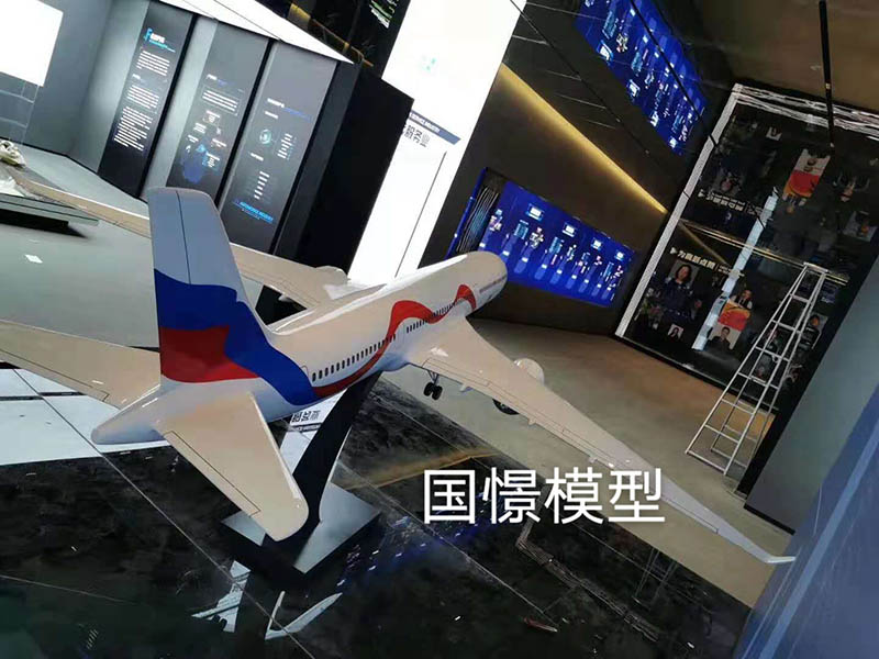 罗甸县飞机模型