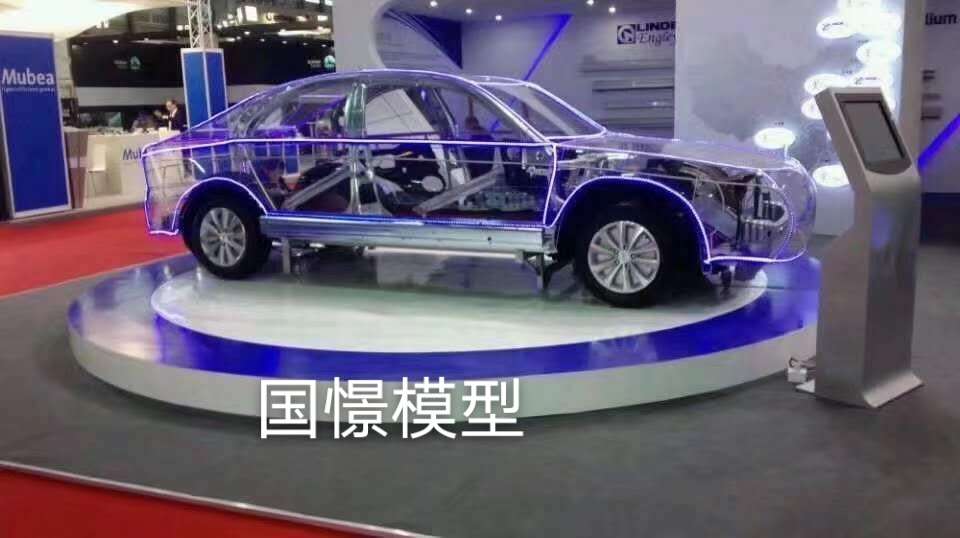 罗甸县透明车模型